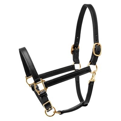 perri_leather_halter_140hbl_1676911530